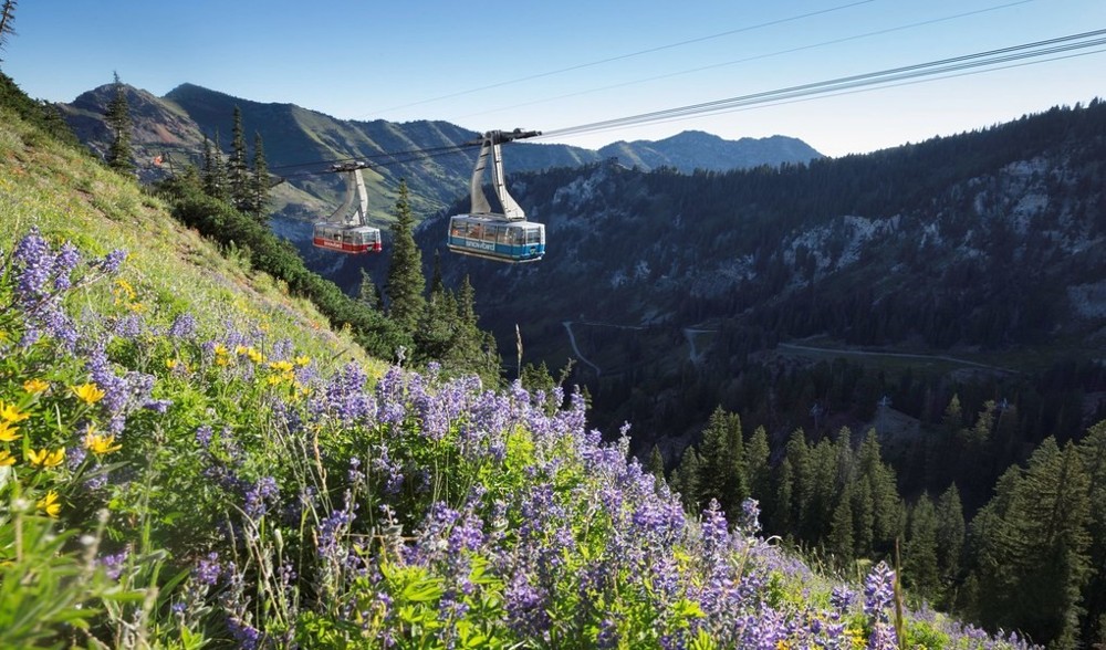 Scenic Tram and Chairlift Ride