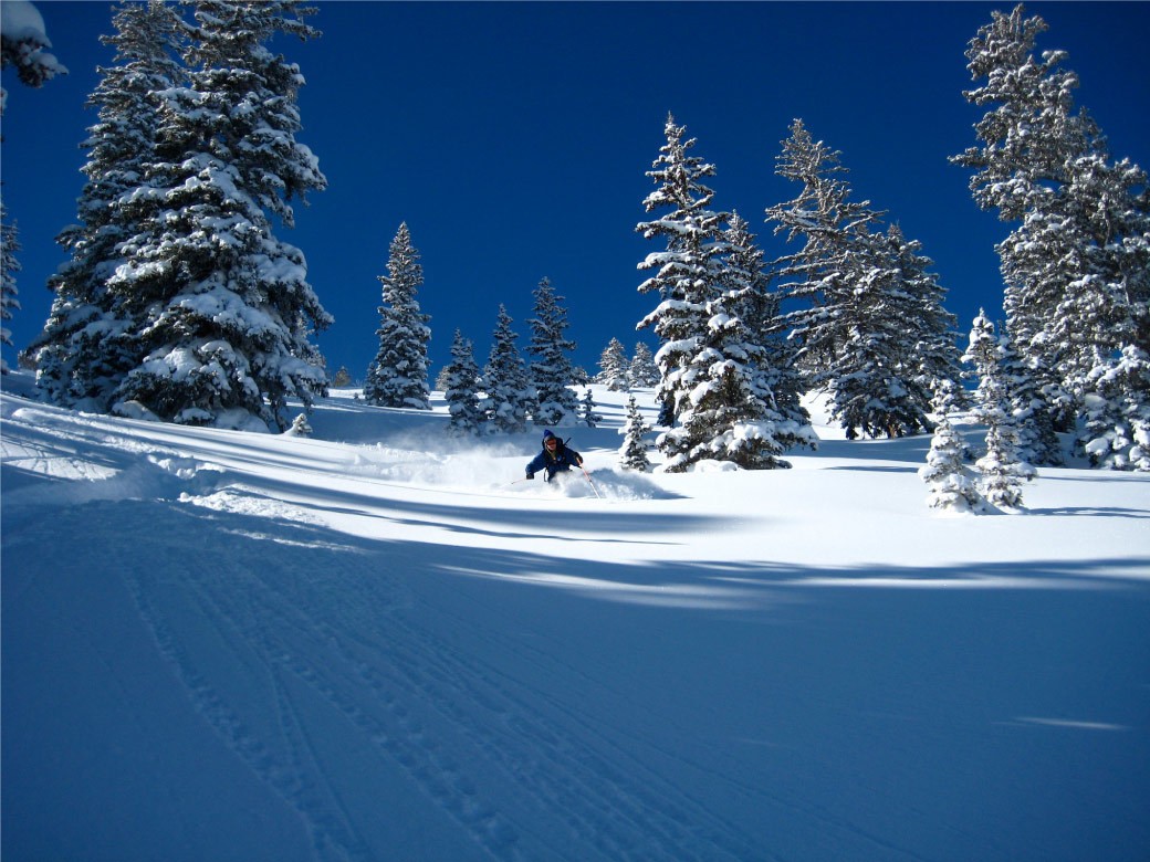 Jim Steenburgh Skiing Powder Field
