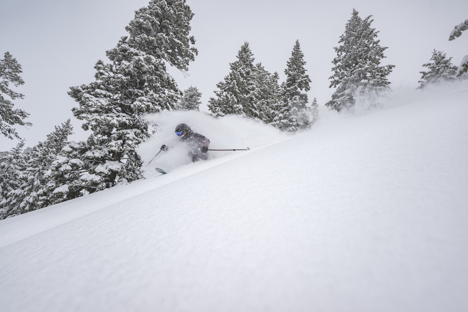 Kaitlin Campbell skiing powder at Powder Mountain, UT