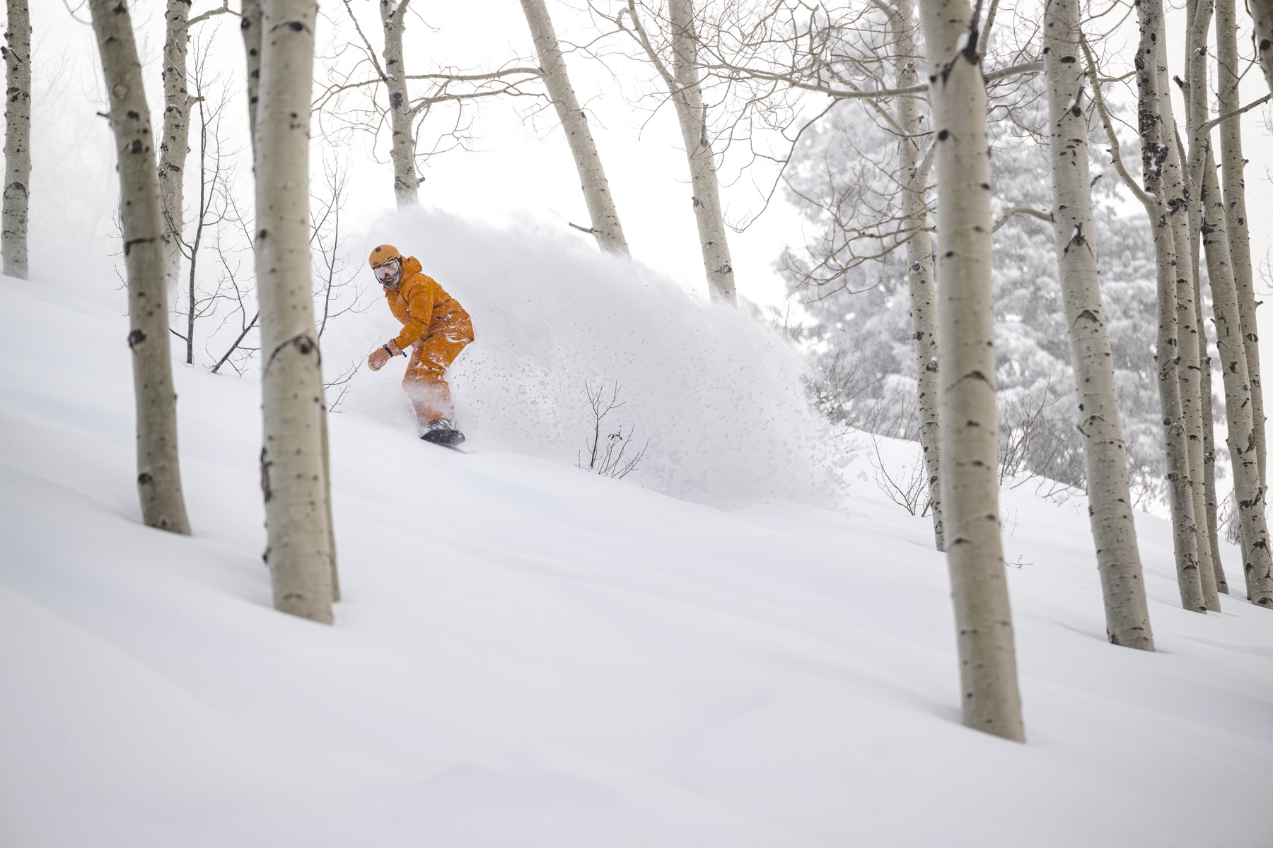 Khai Ikigai snowboarding in powder at Powder Mountain, UT