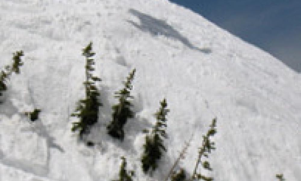 How about 40 ski days at each ski resort in Utah? thumbnail