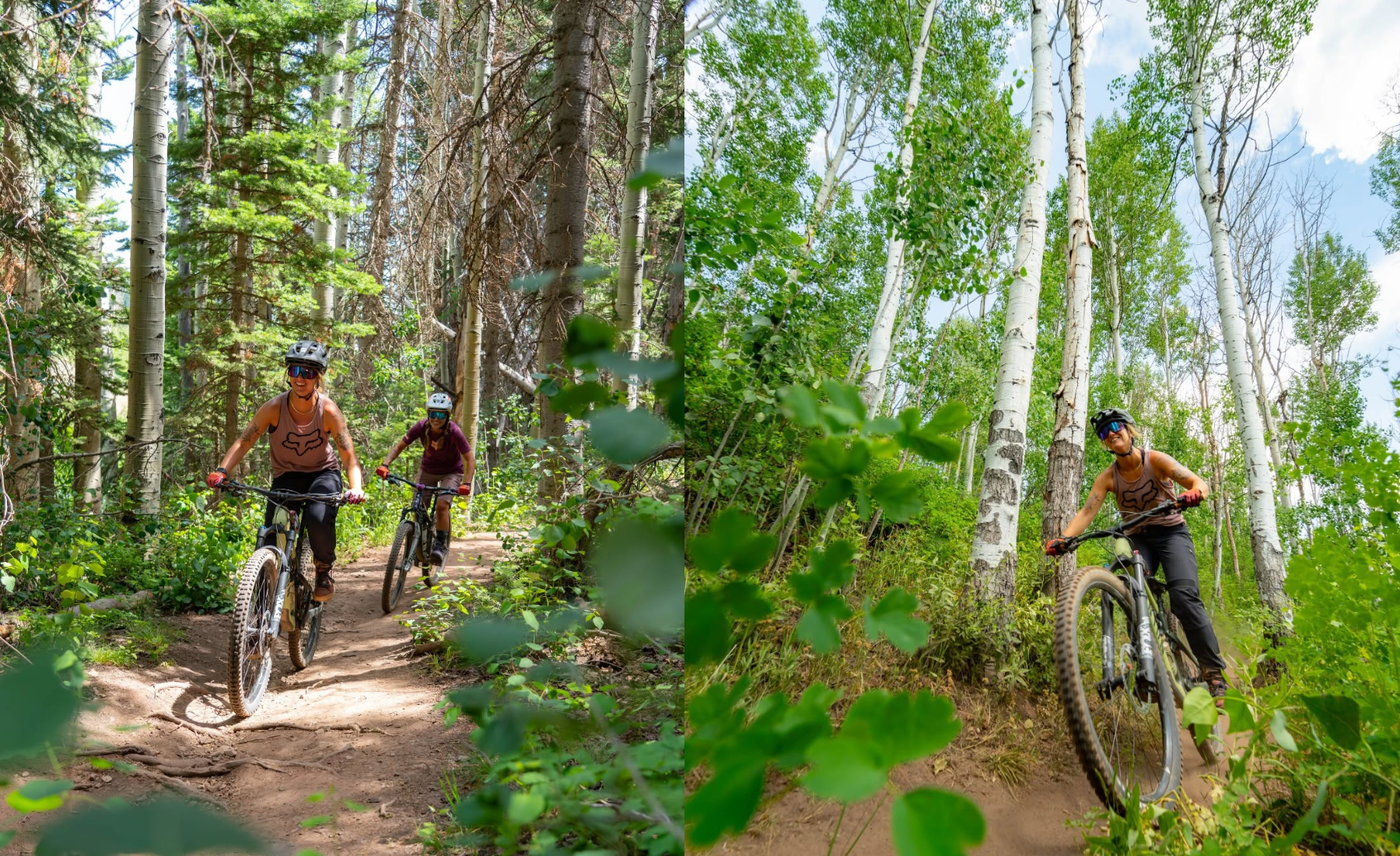 ski-utah-pcmr-biking.png
