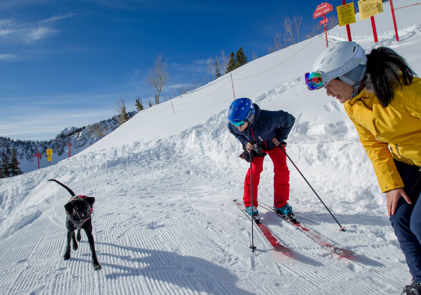 Ski Utah Article Image - Soli Dogpng
