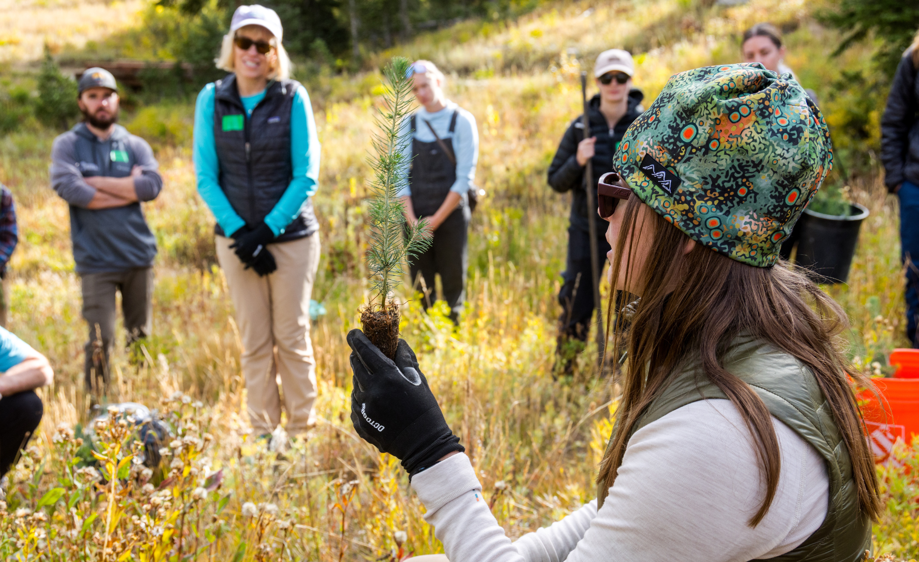 ski-utah-tree-planting.png