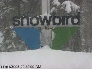 Snowbird Snow Cam