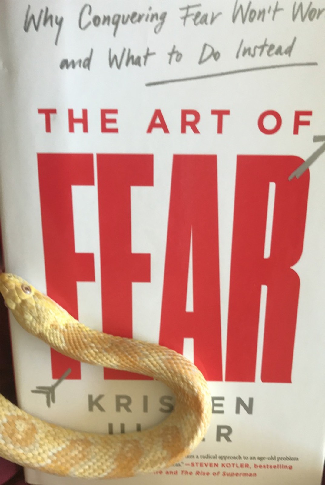 Art of Fear Book Cover with Snakejpg