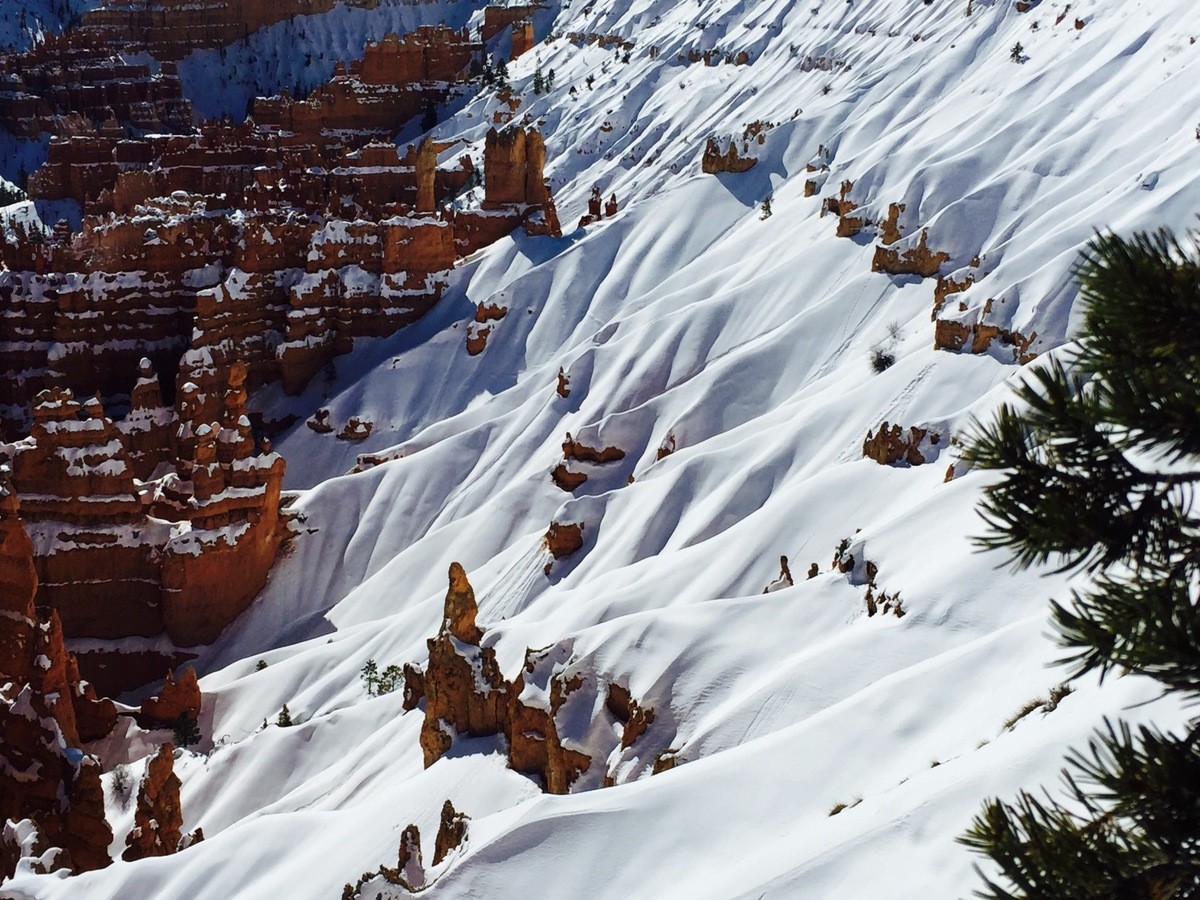 Bryce Canyon National Park Covered in Snow