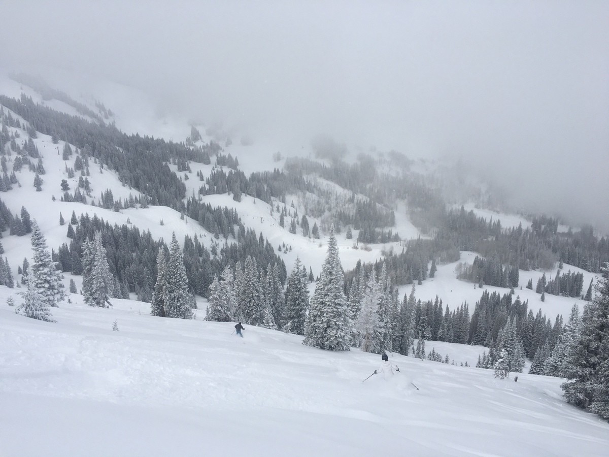 Powder in the Resorts and Powder in Backcountry