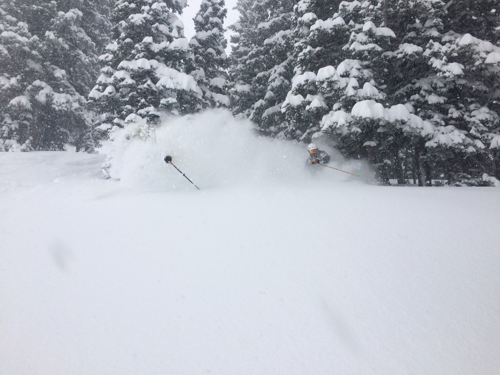 Never Give Up on Winter! 34" in 24 hours!