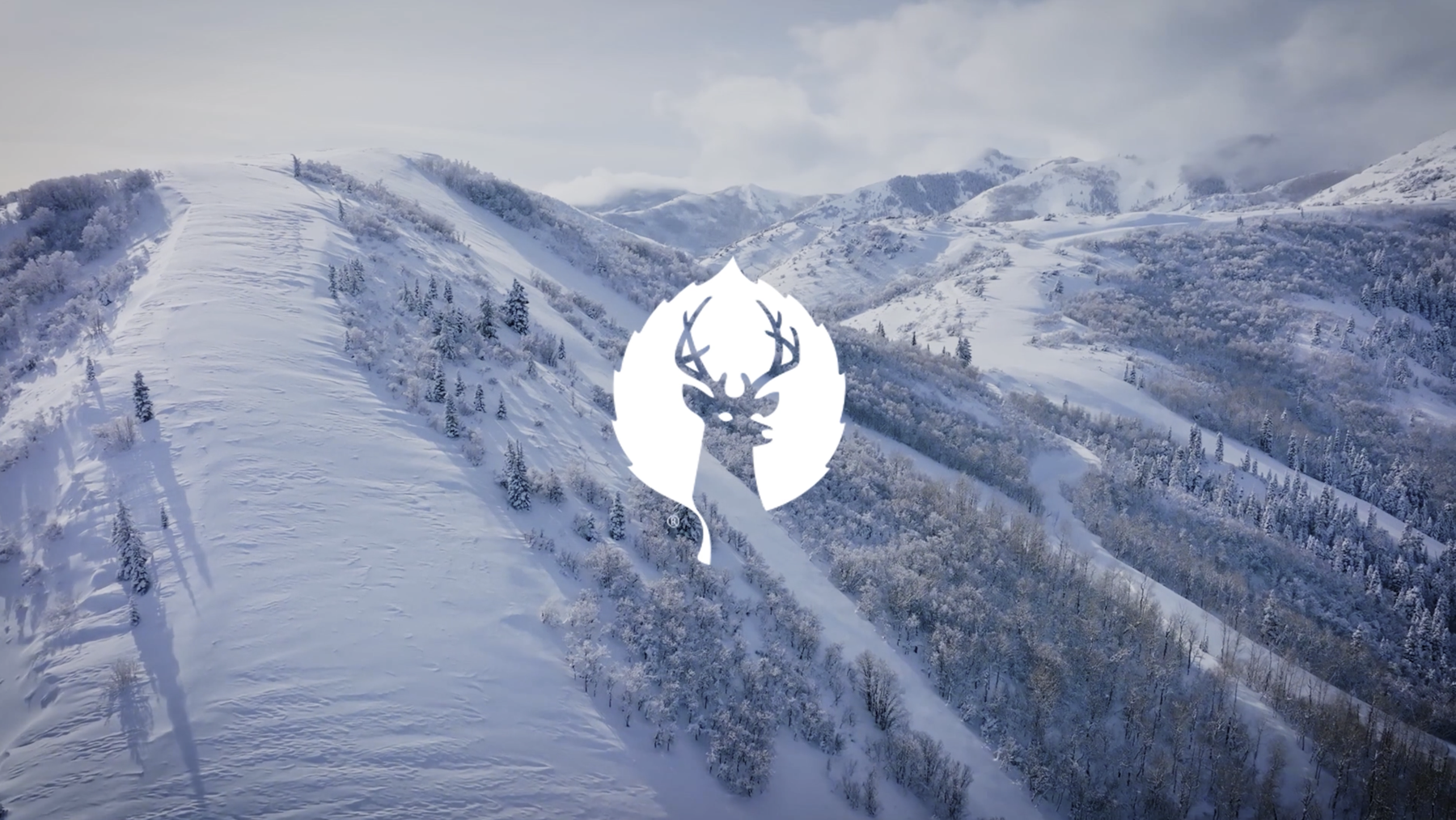 Deer Skiers, We Just Doubled in Size | 2025–26