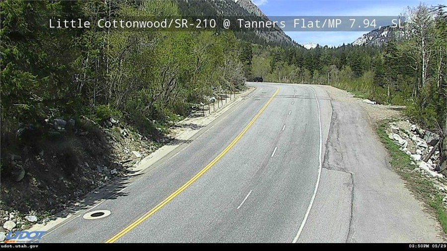 Road | Tanners Flat - Mile Post 7.9