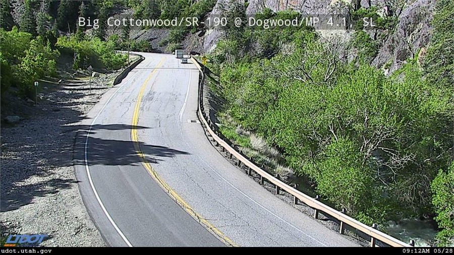 Dogwood - Mile Post 4.1 - Bottom of Canyon