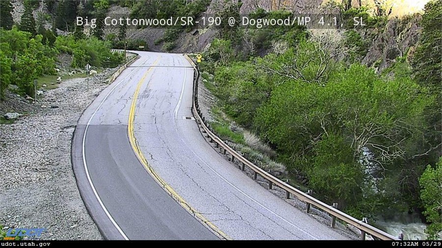 Dogwood - Mile Post 4.1 - Bottom of Canyon