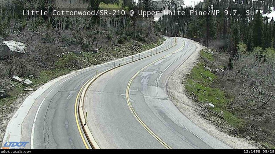 Road | Upper White Pine - Mile Post 9.7