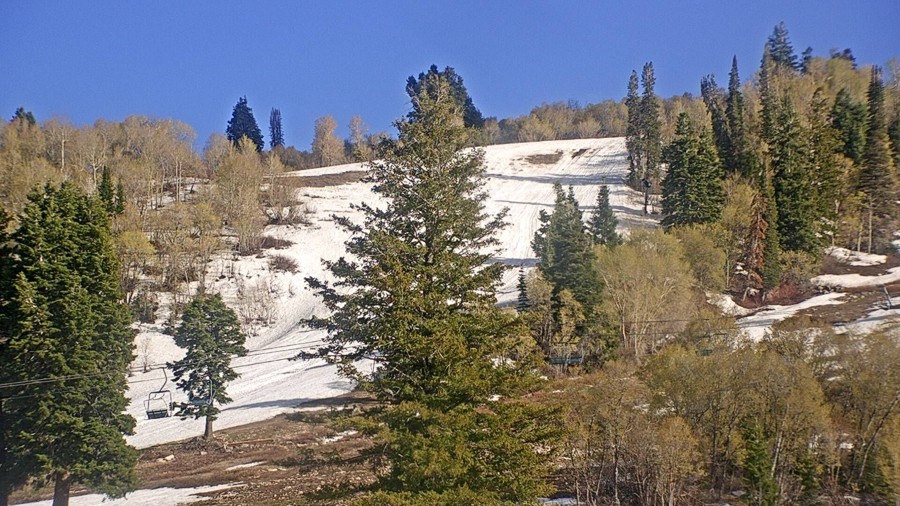 Base of Wildcat Chair