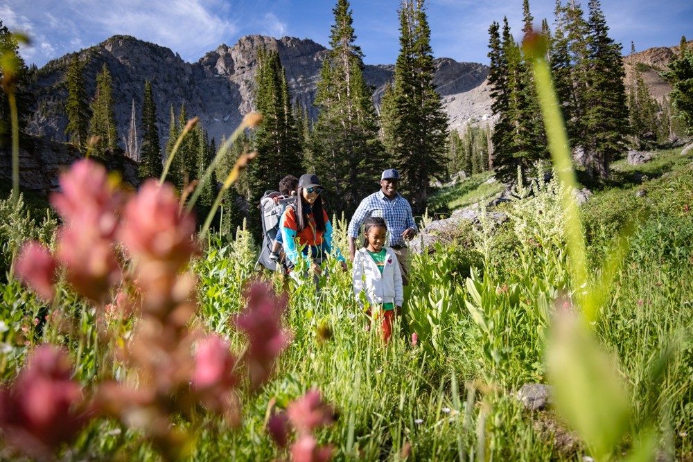 The Where & What of Wildflower Season in Utah