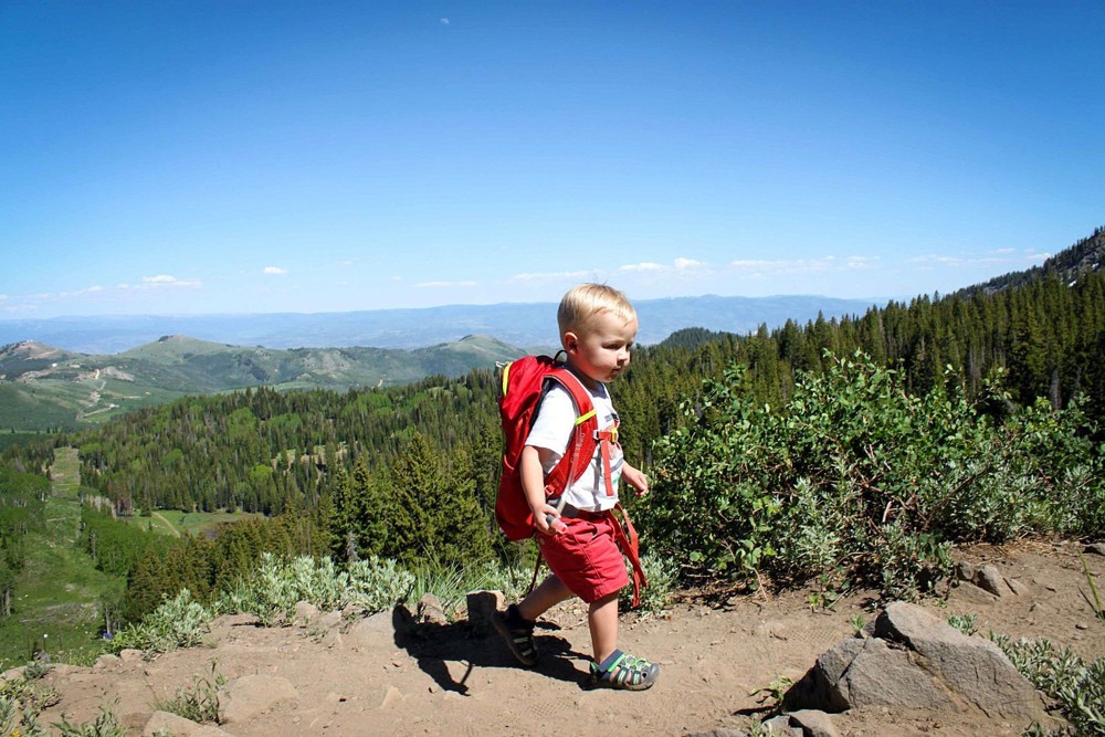 5 Hikes to Help your Toddler Love Hiking