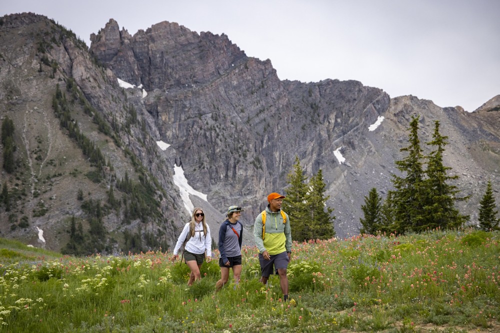 Utah’s Best Wildflower Walks and Hikes