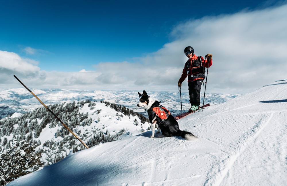 Q&A With an Avalanche Dog Handler 