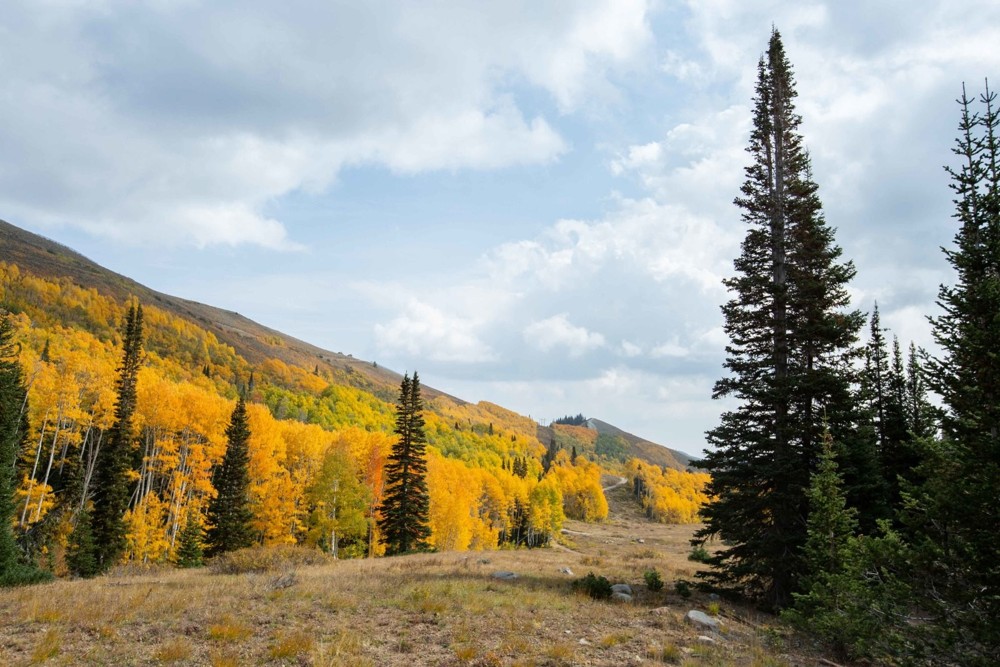 6 Fall Day Trip Hikes in Utah 