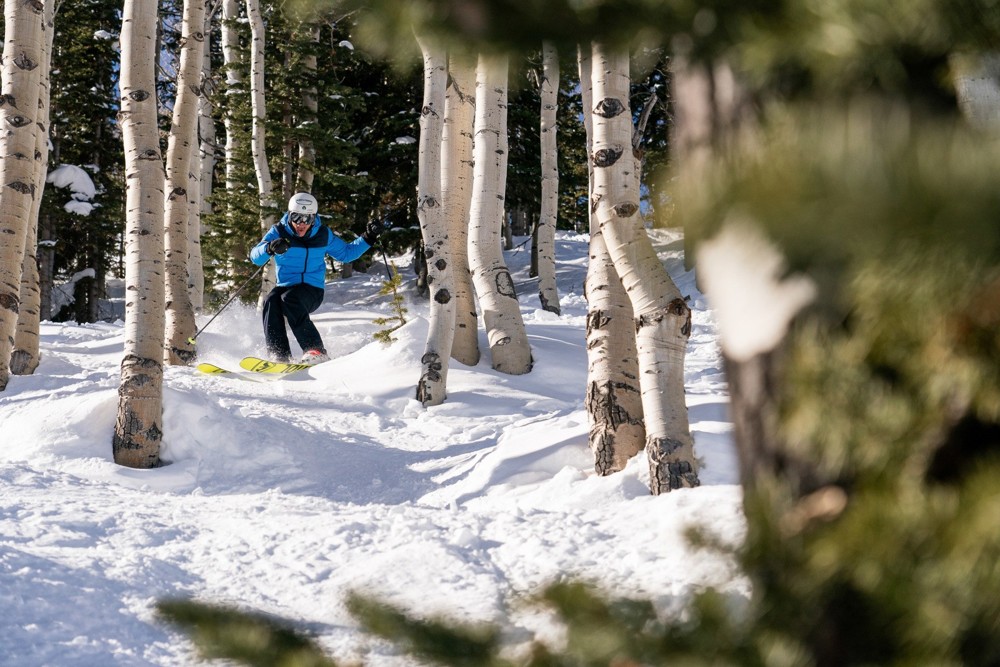How to Find Deer Valley's New Tree Skiing  