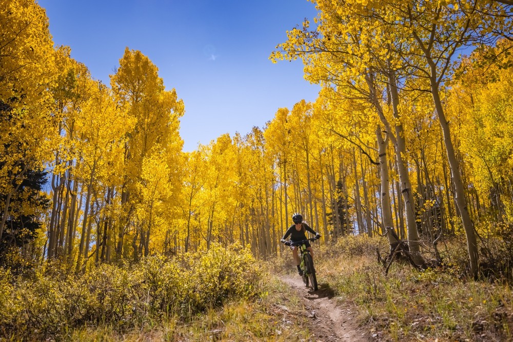 Mid Mountail Trail - The Unsung Hero of the Wasatch Back