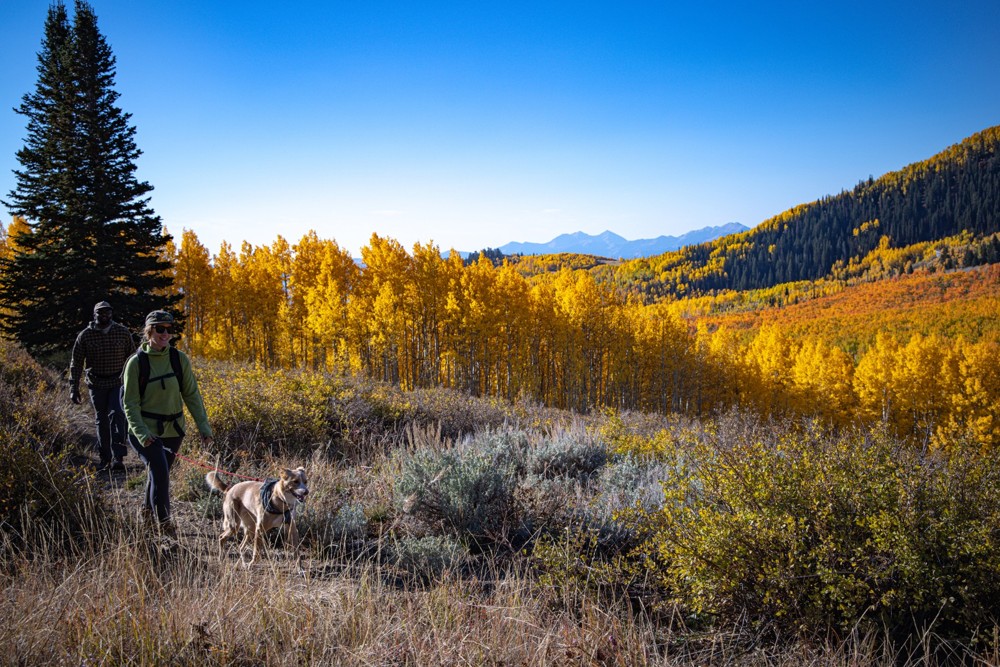 The Top 4 Off-Season Sports That Actually Help You Ski Better