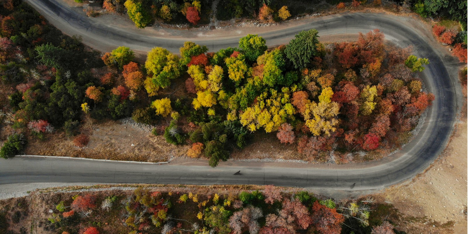 Scenic Drives for Autumn Enthusiasts in Utah