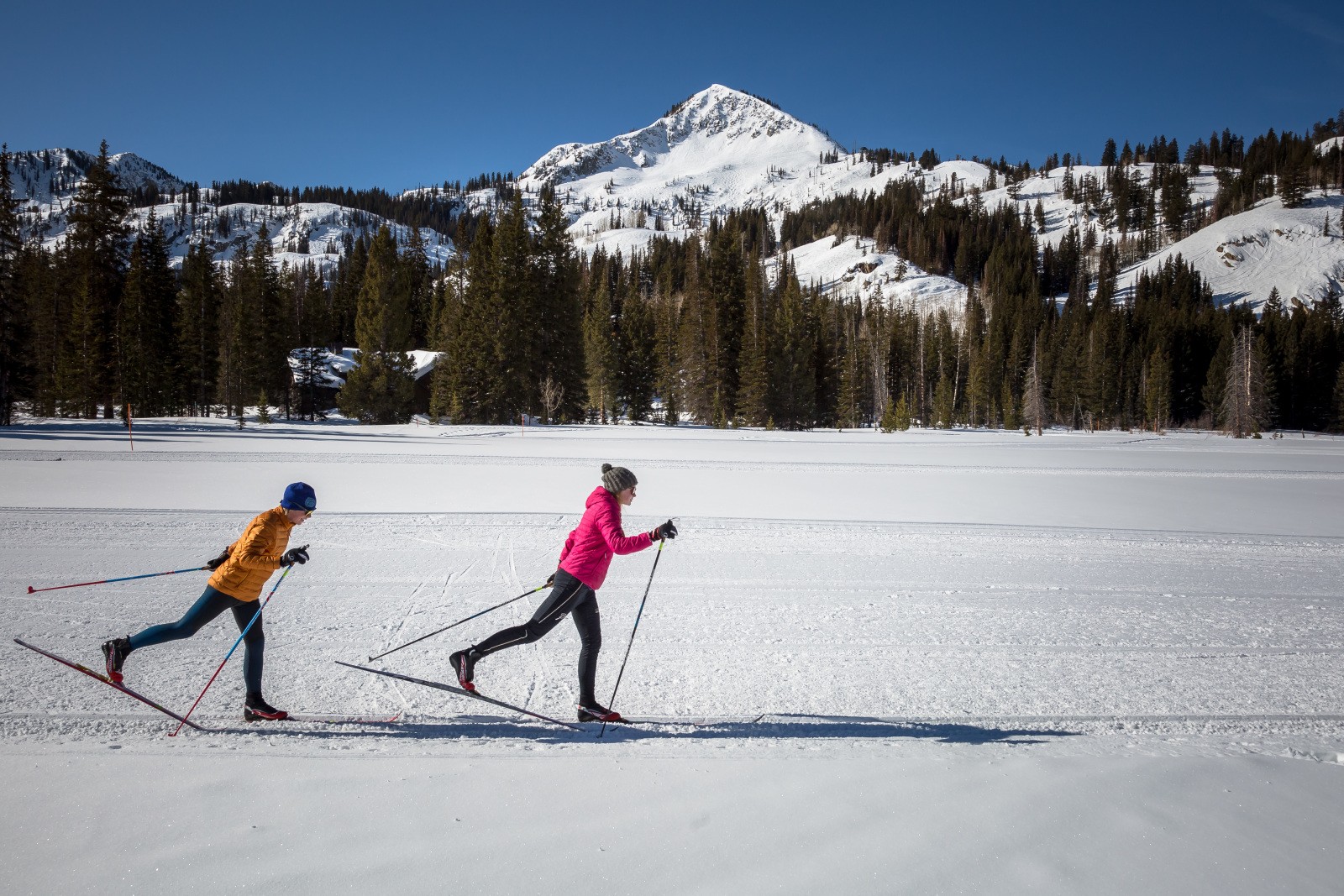 Your Comprehensive Guide to Utah's Best Nordic Skiing