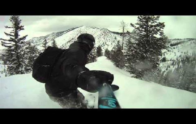 Powder Safari Cat Skiing - Powder Mountain