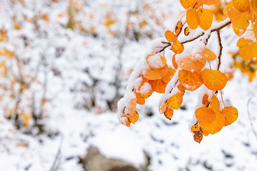 Utah Sees Its Snowiest October in More Than 15 Years