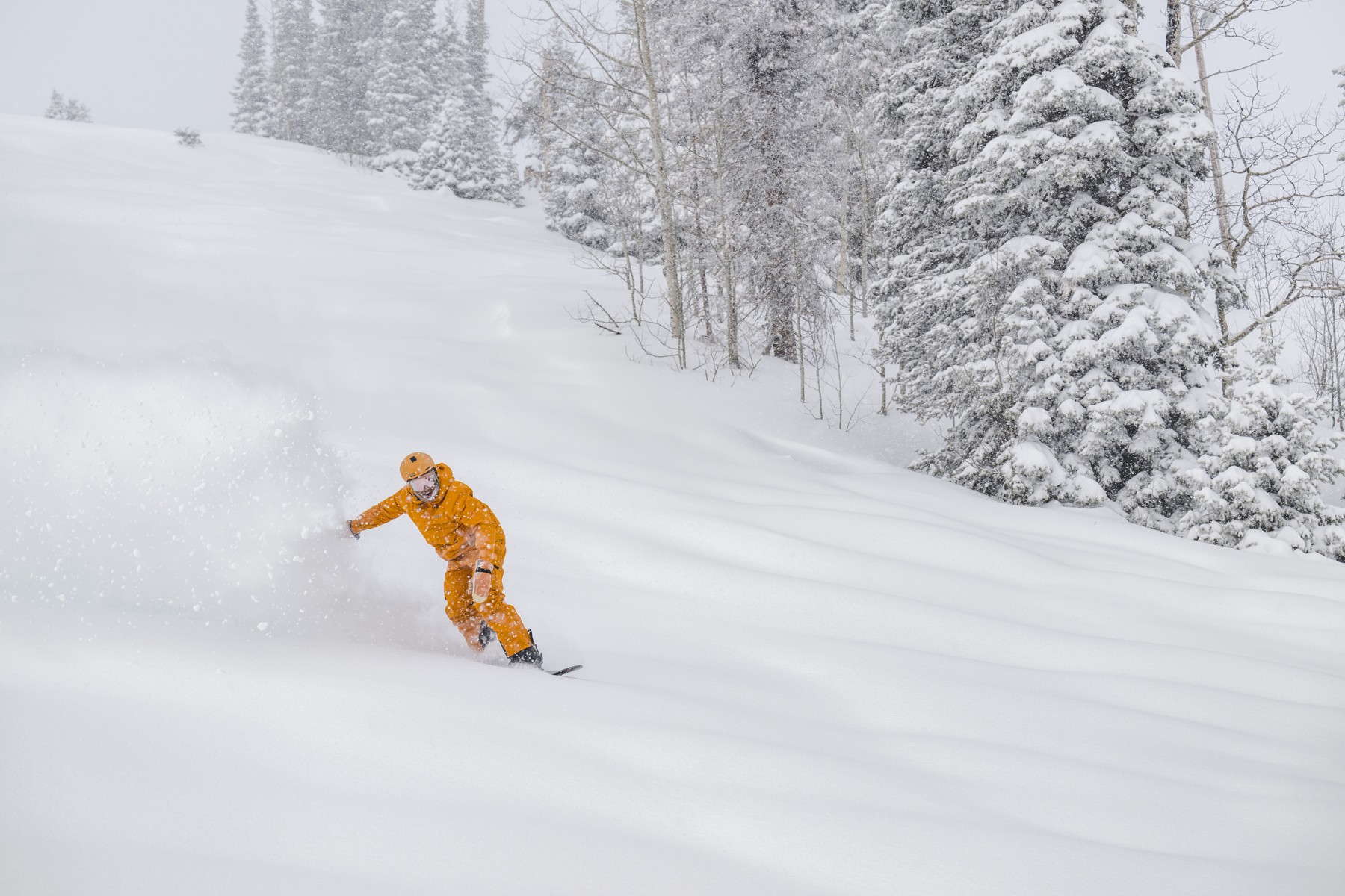 Japow in Utah