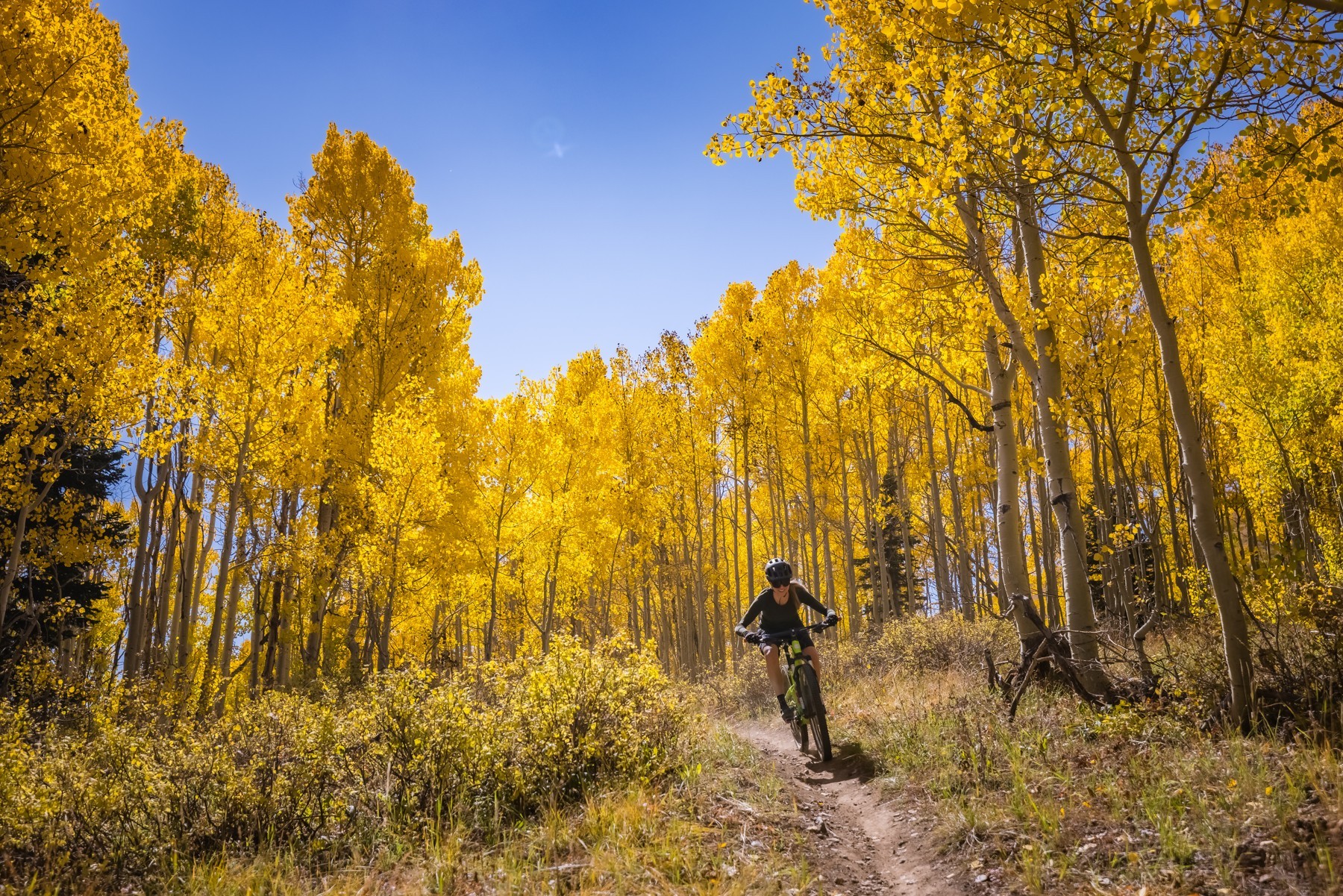 Mid Mountail Trail - The Unsung Hero of the Wasatch Back