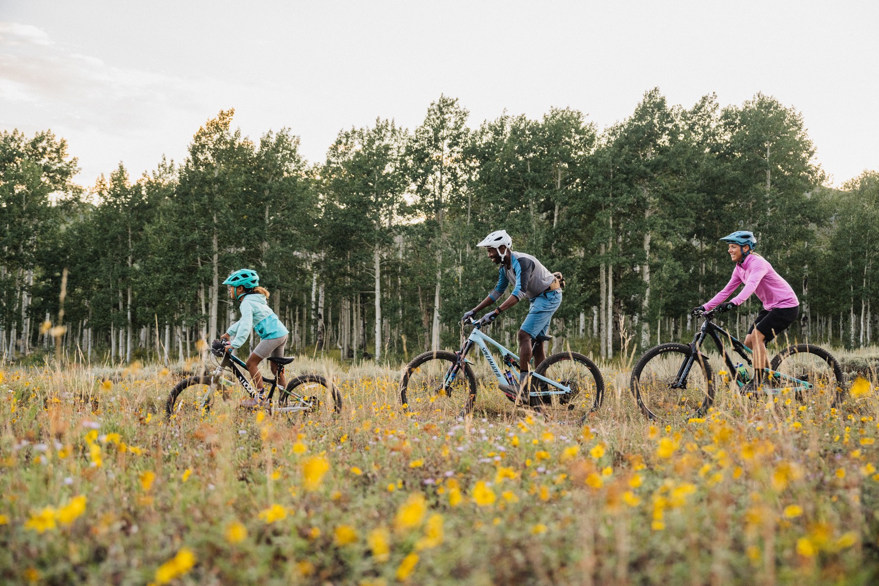 Top Mountain Bike Trails for Beginners of All Ages