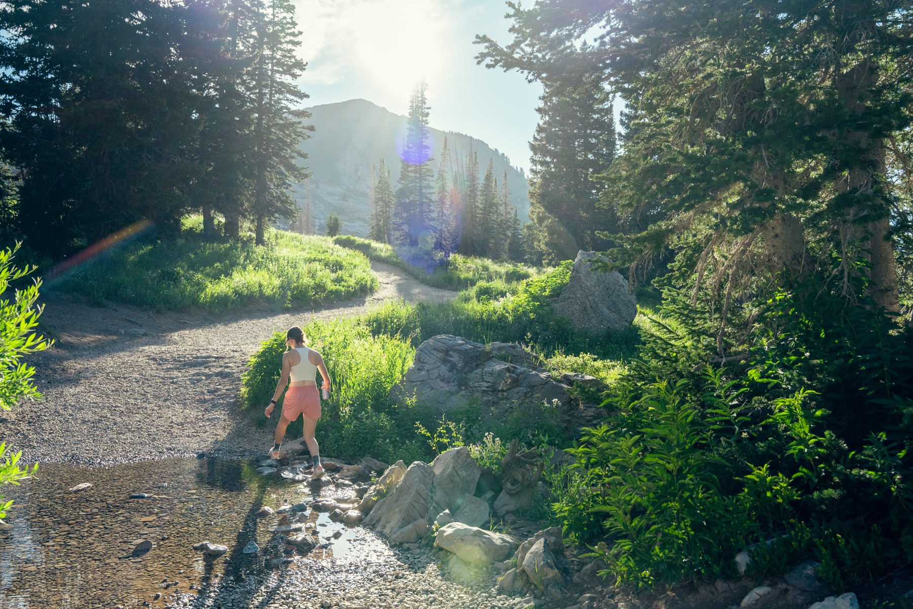 The Magic of Little Cottonwood in Summer