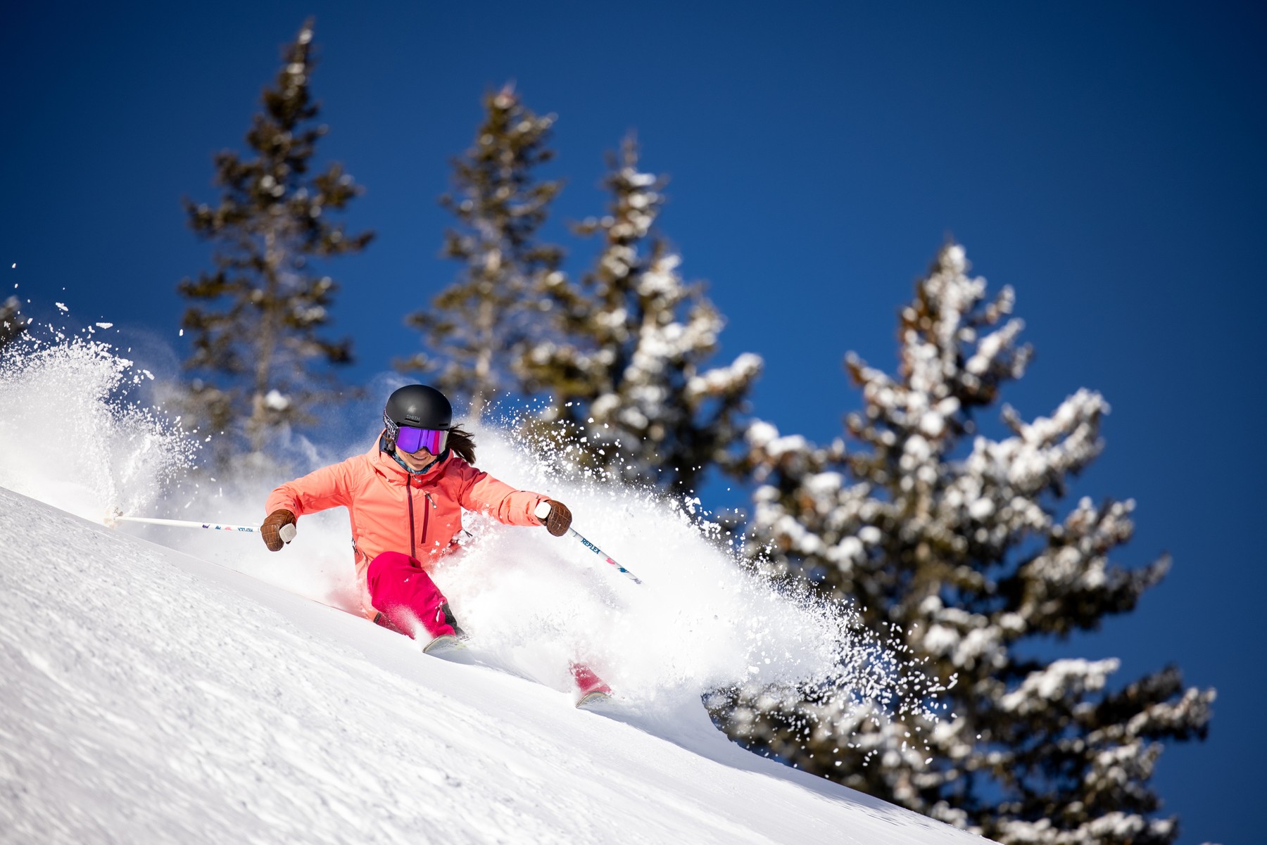www.skiutah.com