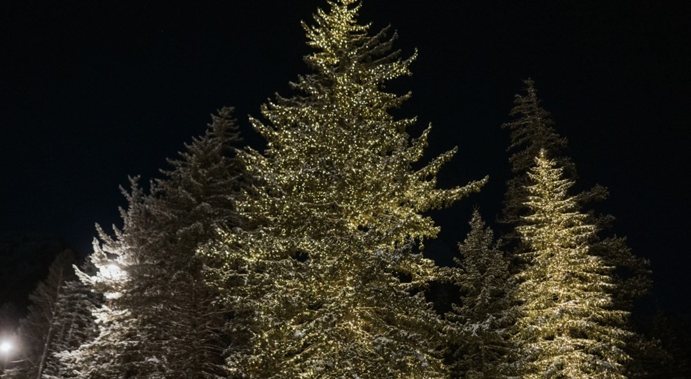 Sundance Tree Lighting Celebration 2025