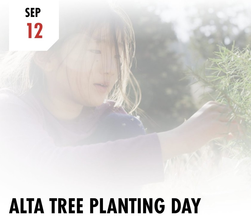 Alta Tree Planting Day