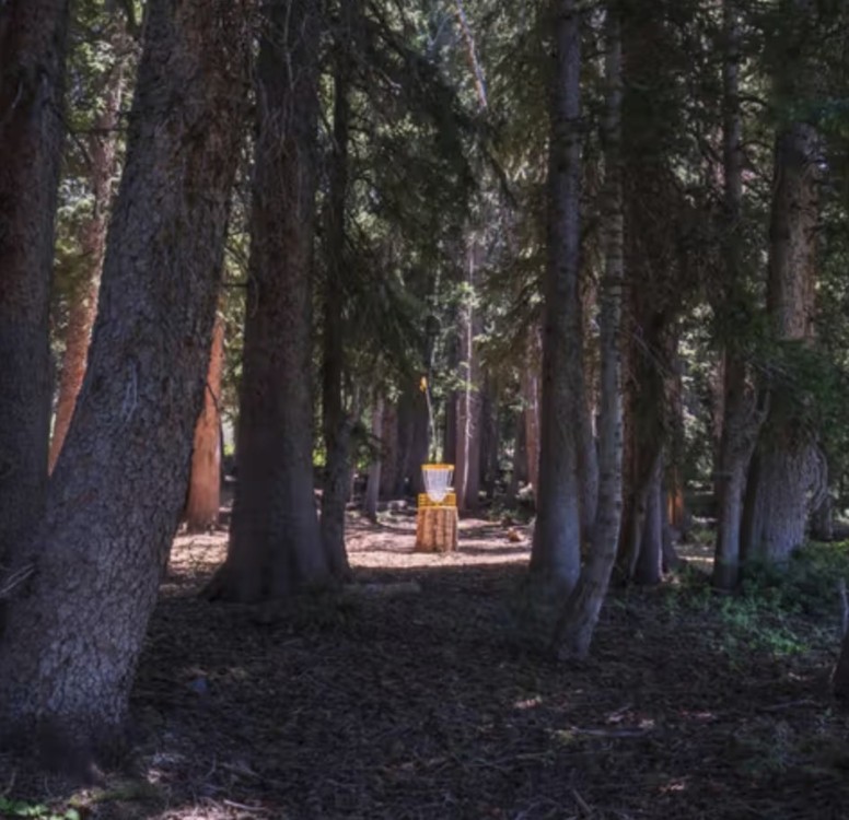 Brighton 2026 US Women's Disc Golf Championship