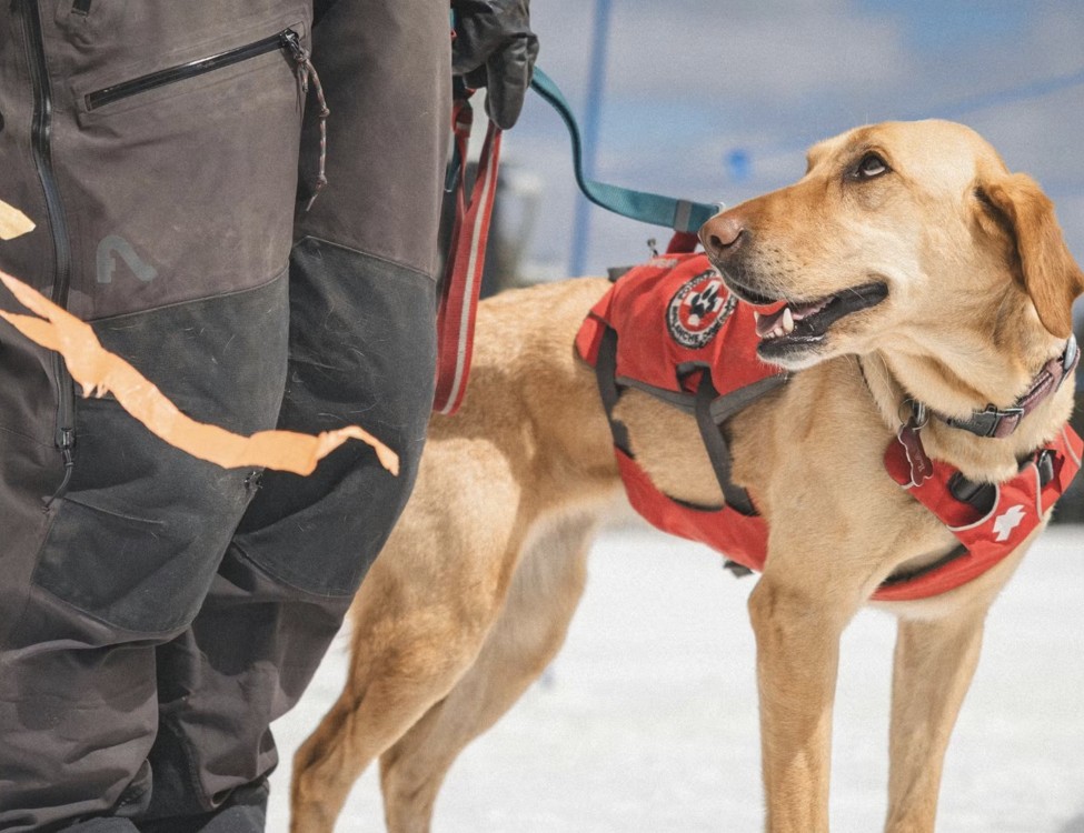 Powder Mountain Junior Ski Patrol Day