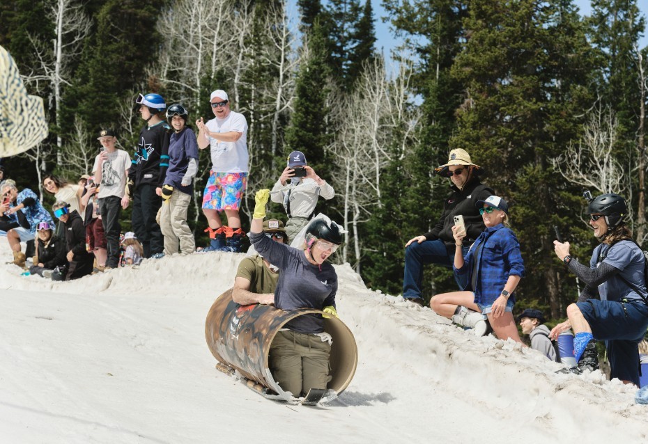 Solitude Solidaze Cardboard Derby