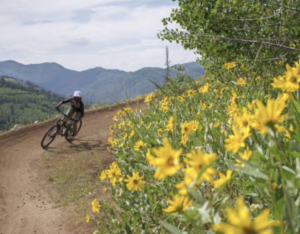 Brighton Women's Mountain Bike Ride Night