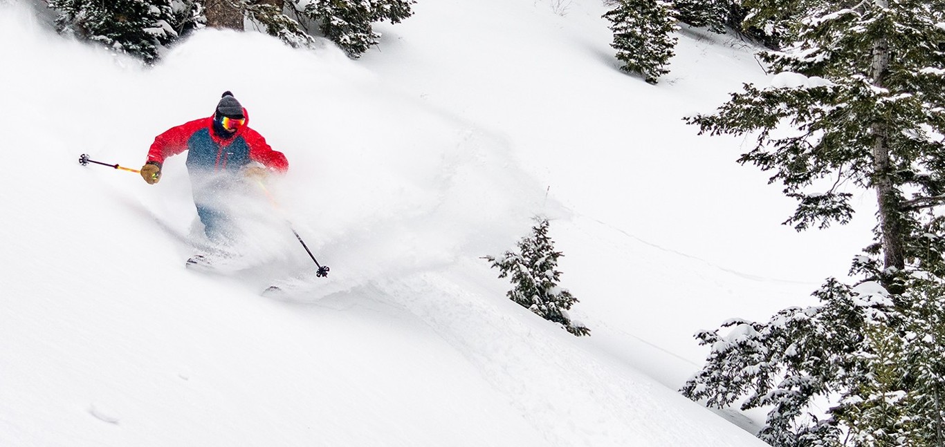 Powder Mountain Single Ride Cat Skiing / Raintree Snowcat Ski Utah