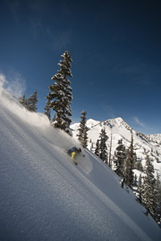 Fresh Turns - Thumb